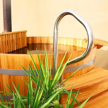 住宿加早餐酒店 马本潘左伊住宿加早餐旅馆 Hegykő